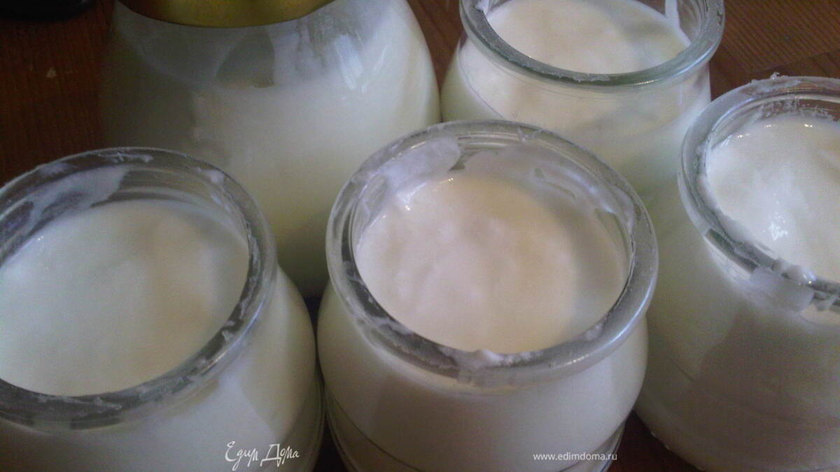 Домашний йогурт без йогуртницы