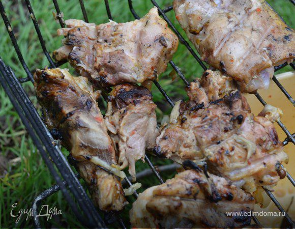 Шашлык на костре для пикника