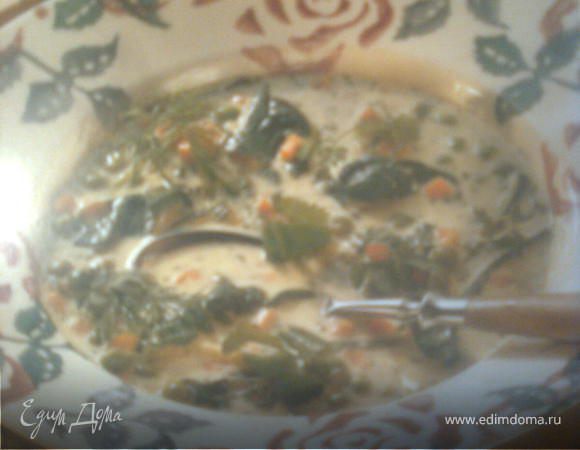 Cуп из летних овощей