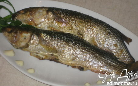 Рецепт Кефаль, фаршированная грибным жюльеном