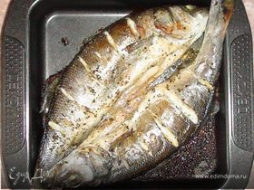 Фотография профиля