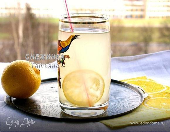 Лимонад на березовом соке