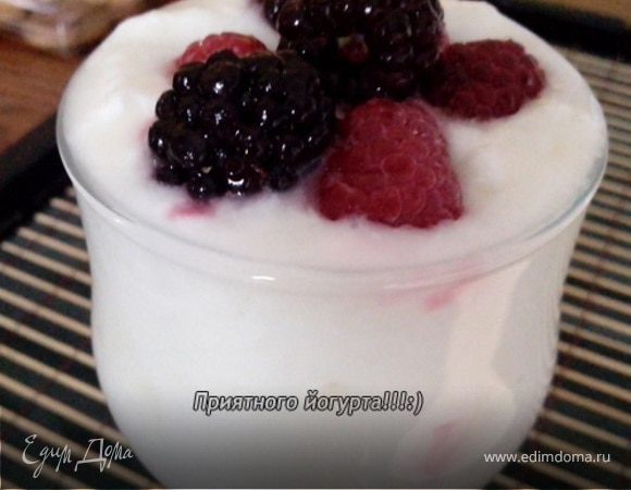 Йогурт из закваски Лактина (Lactina) Йогурт из закваски Лактина (Lactina)