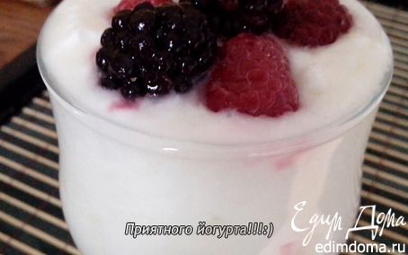 Рецепт Йогурт из закваски Лактина (Lactina) в йогуртнице