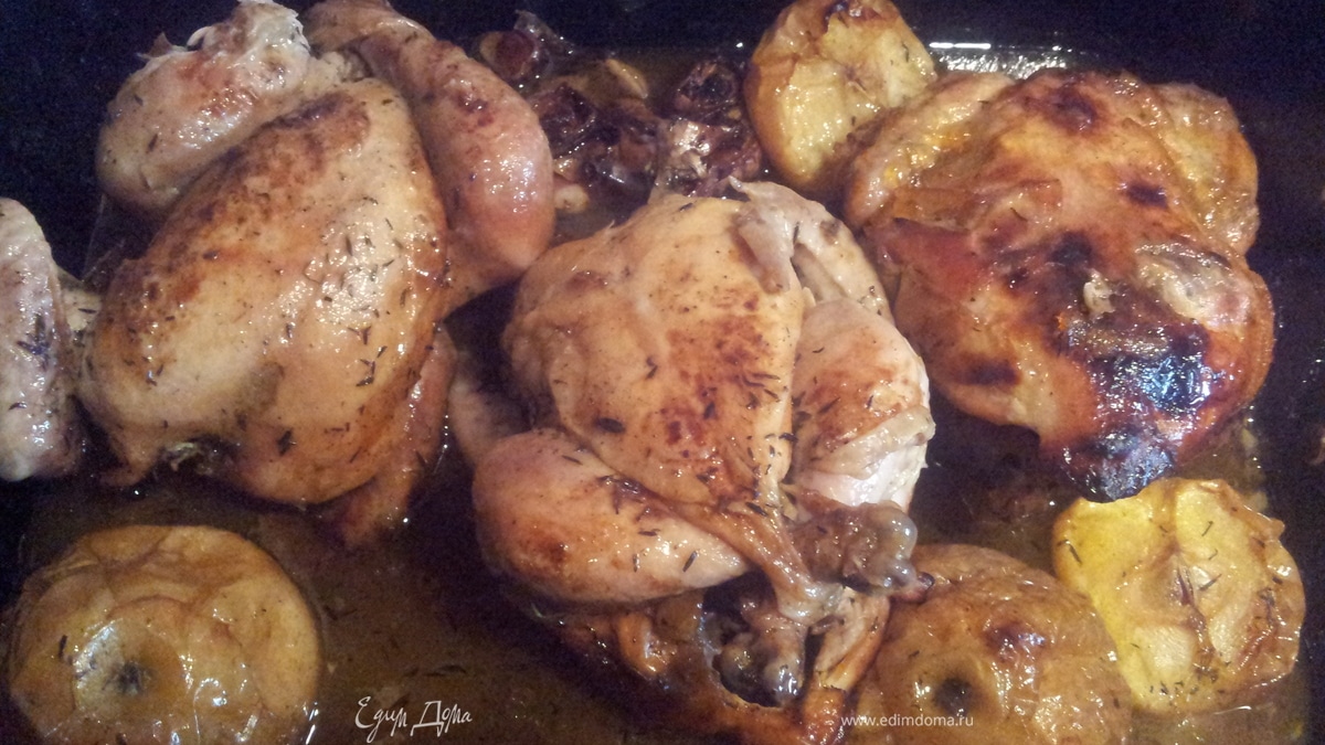 "Быстрые" куры