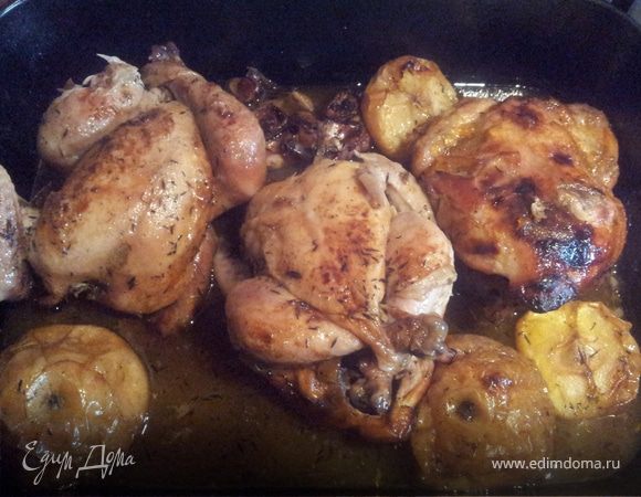 "Быстрые" куры