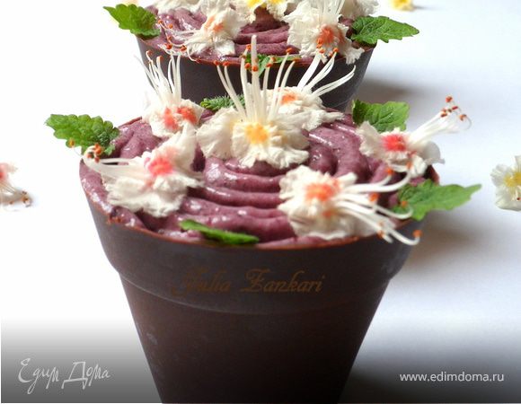 Шоколадные стаканчики с черничным муссом и бисквитом Шоколадные стаканчики с черничным муссом и бисквитом