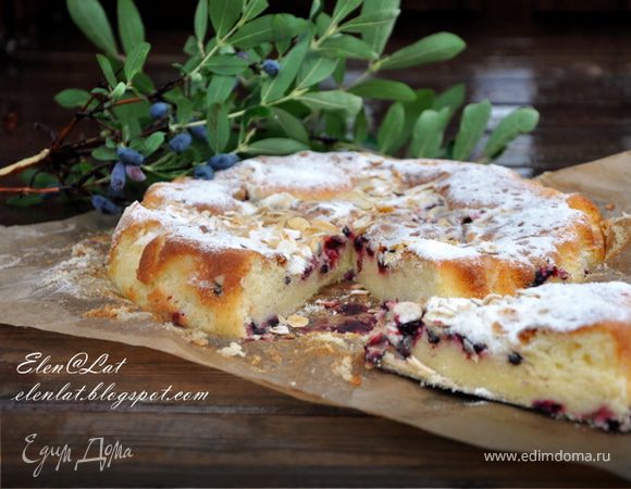 Нежный бисквит с жимолостью или любой другой ягодкой Нежный бисквит с жимолостью или любой другой ягодкой