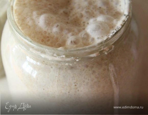 Стартер (хлебная закваска)