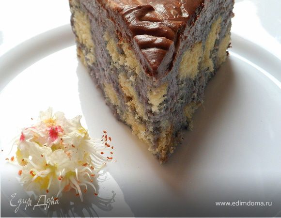 Торт с чернично-кокосовым муссом и шоколадом Торт с чернично-кокосовым муссом и шоколадом