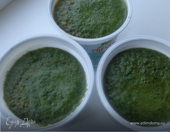 Зеленый борщ на зиму ("Новый урожай") Зеленый борщ на зиму ("Новый урожай")