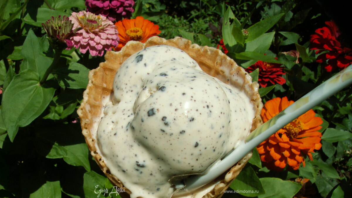 страччателла с двумя видами шоколада