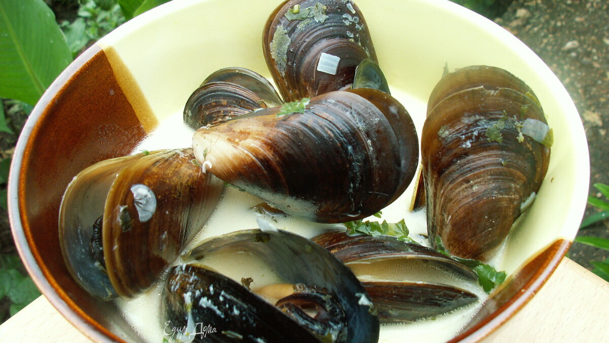 мидии в сливочном соусе