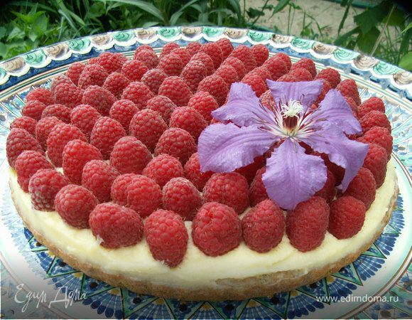 тарт с зеленым чаем и малиной тарт с зеленым чаем и малиной