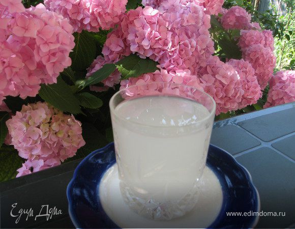 Полезный квас из овса ("Прохладительные напитки")