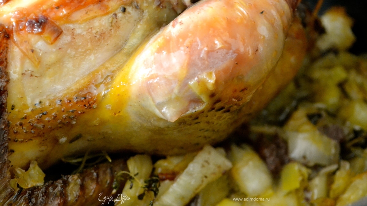 Цыпленок с фенхелем