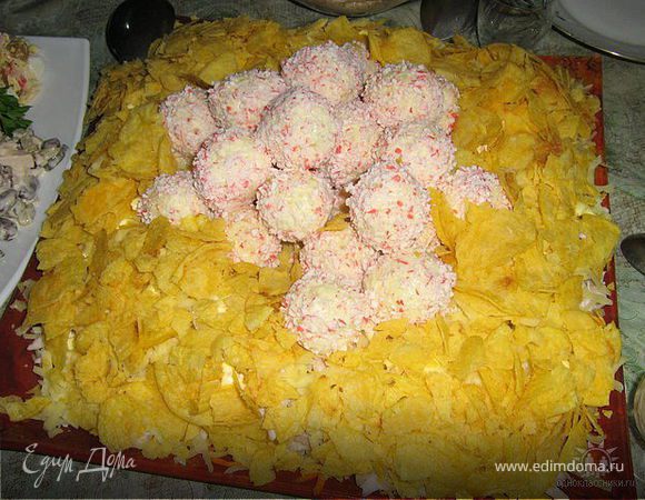 новое гнездо