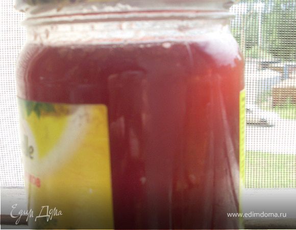 Желе из крыжовника (рецепт моей свекрови) Желе из крыжовника (рецепт моей свекрови)