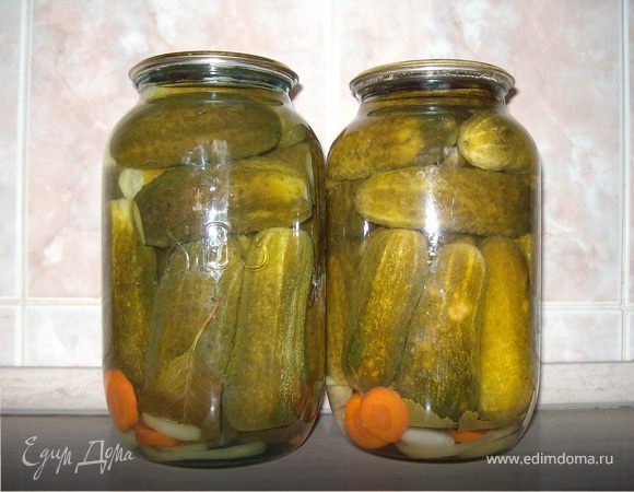 Болгарские огурчики Болгарские огурчики