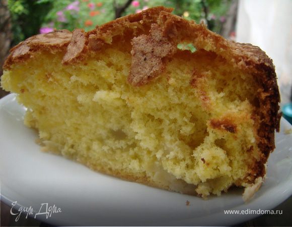 Шарлотка из яблок Шарлотка из яблок