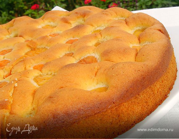 Бисквитный пирог с медом и абрикосами