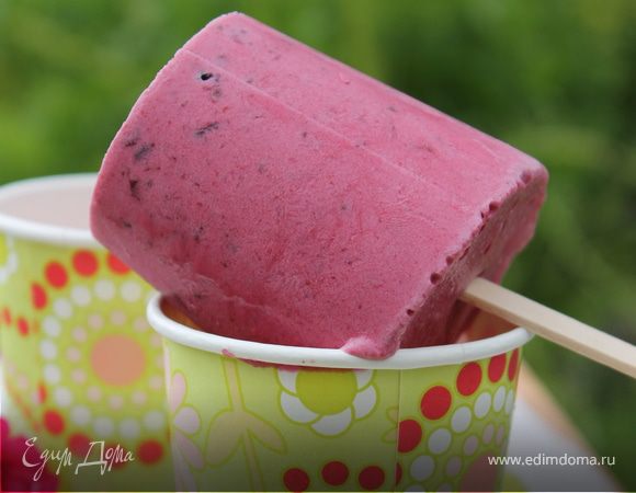 Мороженое на йогурте со смородиной Мороженое на йогурте со смородиной