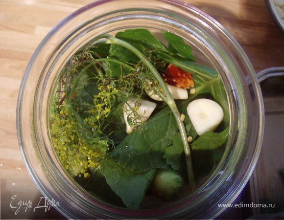 Соленые огурцы на зиму Соленые огурцы на зиму