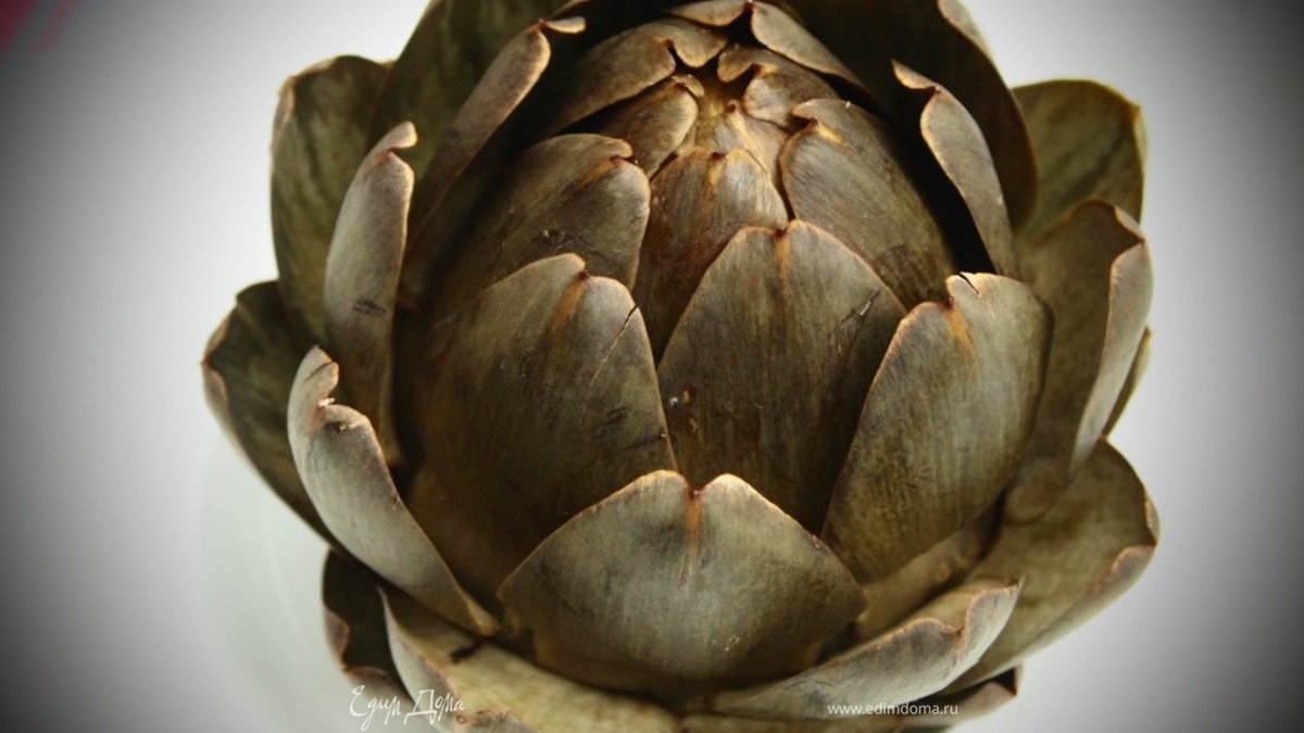 Артишок ко всему