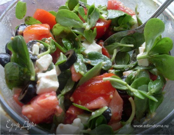 Салат с огородным портулаком в горчичной заправке Салат с огородным портулаком в горчичной заправке