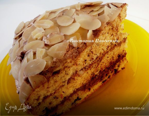 Ванильно-шоколадный бисквит