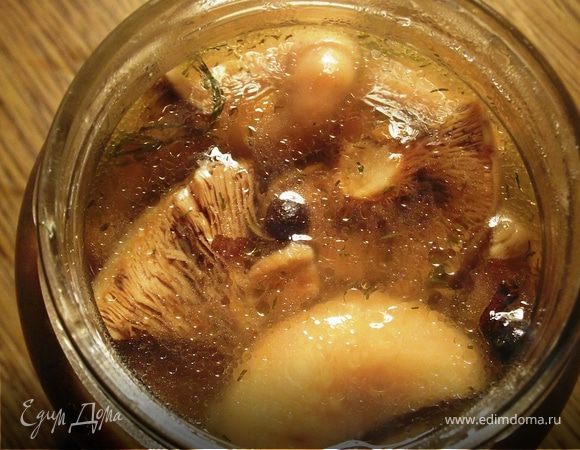 Рыжики, маринованные в собственном соку Рыжики, маринованные в собственном соку