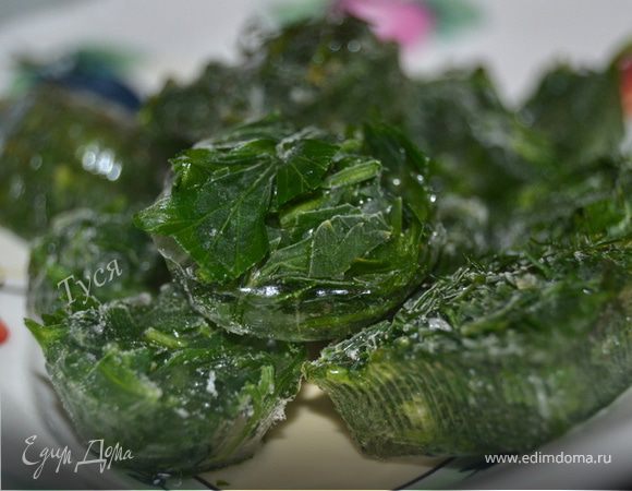 Заготовка зелени на зиму Заготовка зелени на зиму