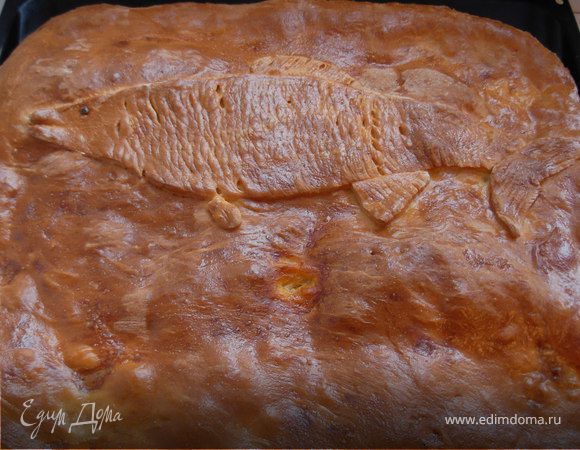 Пирог с рыбой. На День Рождения Пирог с рыбой. На День Рождения