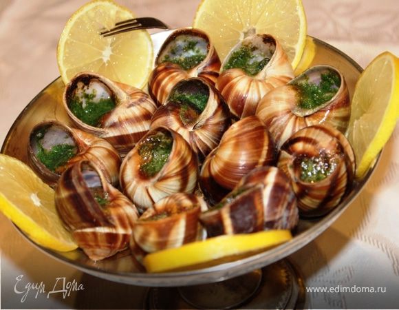 Быстрые улитки Быстрые улитки