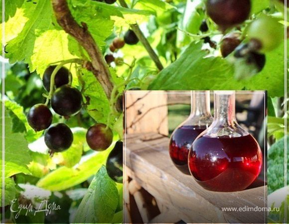 Наливка черносмородиновая Наливка черносмородиновая