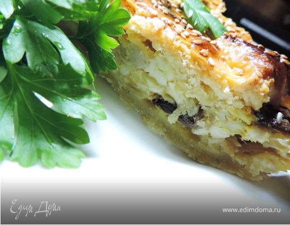 Сырно-луковый пирог с грибами Сырно-луковый пирог с грибами