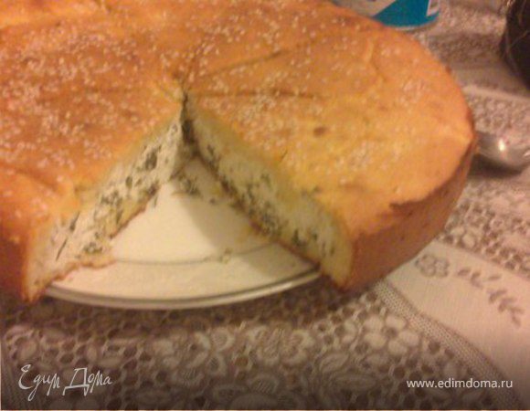 Пирог из кукурузной муки с творогом, тмином и пряными травами Пирог из кукурузной муки с творогом, тмином и пряными травами