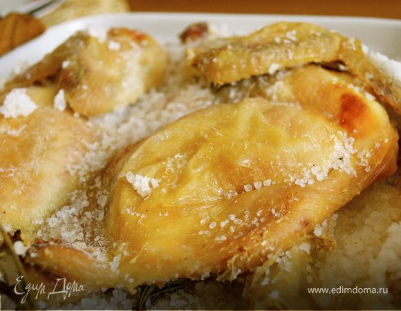 Курочка в соли