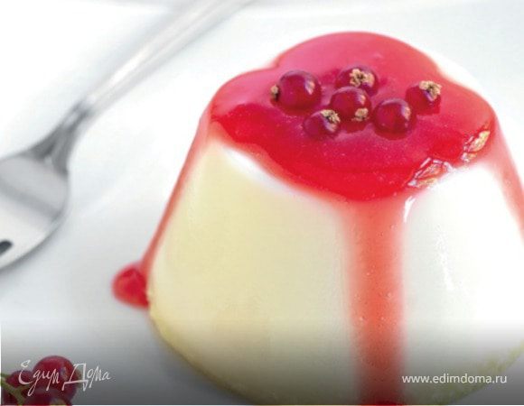 Панна котта из белого шоколада и красной смородины