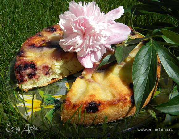 Яблочно-смородиновый пирог