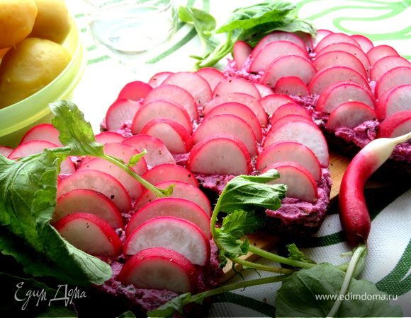 Закуска "Редиска на творожке"