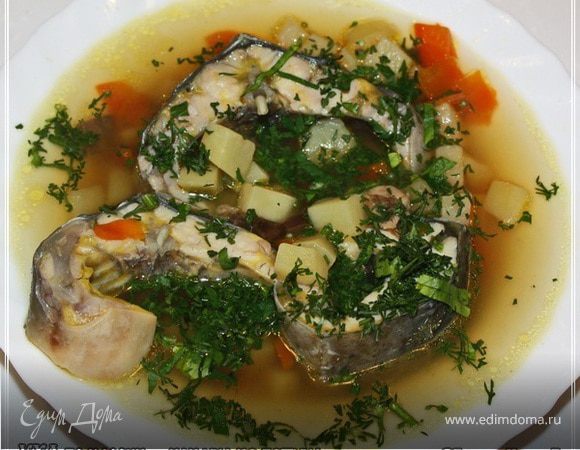 Уха по-Царски или уха из петуха Уха по-Царски или уха из петуха