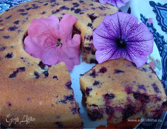 Пирог с крошкой "Цыганский табор" Пирог с крошкой "Цыганский табор"