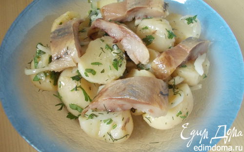 Рецепт Картофельный салат с сельдью и горчичной заправкой "Любят все"