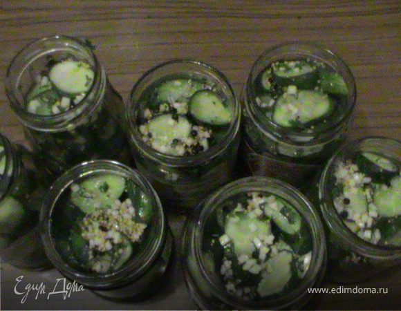 Закуска из огурцов Закуска из огурцов