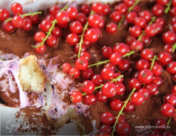 Тирамису с лесными ягодами