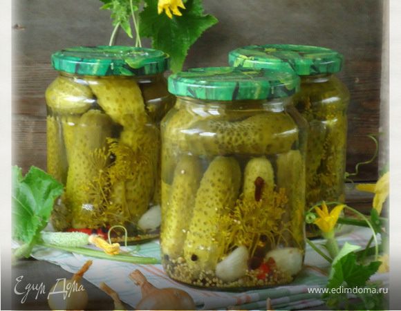 Огурцы острые маринованные Огурцы острые маринованные