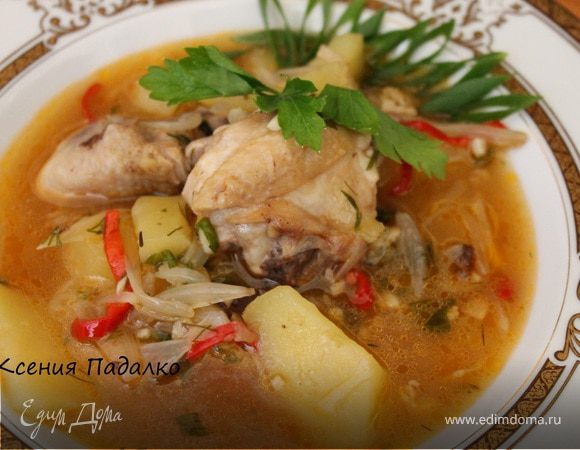 Густой куриный суп с луком Густой куриный суп с луком