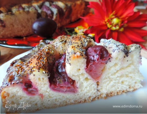 Сливовый пирог с маковой заливкой "Искушение" Сливовый пирог с маковой заливкой "Искушение"