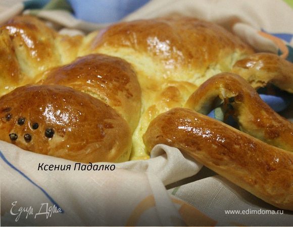 Пирог с капустой "Паук" Пирог с капустой "Паук"